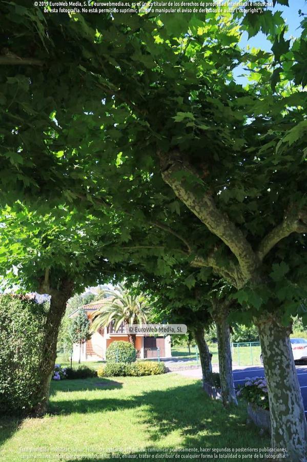 El Puentin Del Sella Con Wifi Y Parking Gratuito Apartment Cangas de Onis Luaran gambar