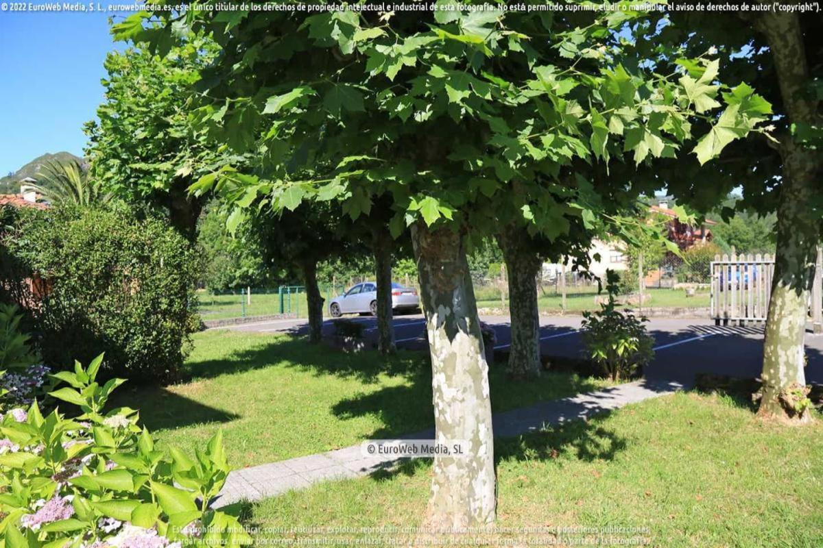 El Puentin Del Sella Con Wifi Y Parking Gratuito Apartment Cangas de Onis Luaran gambar